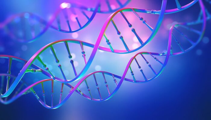 DNA strand, illustrating the structure of genetic material