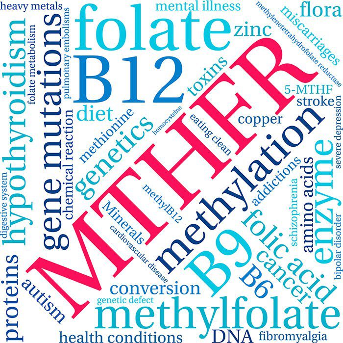 DNA/Genomic testing that includes MTHFR C677T and A1298C MTHFR variants
