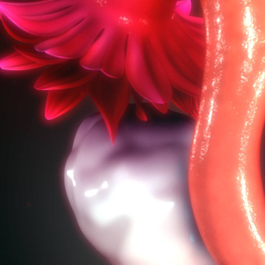 A detailed view of a colorful flower