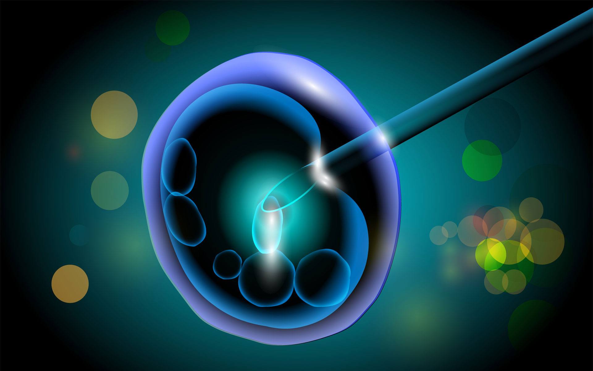 Intracytoplasmic sperm injection