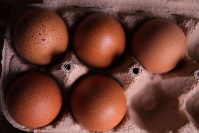 A carton of eggs