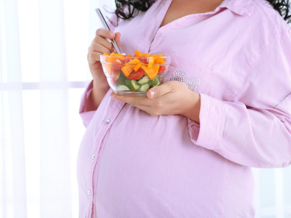 Pregnancy Diet Plan