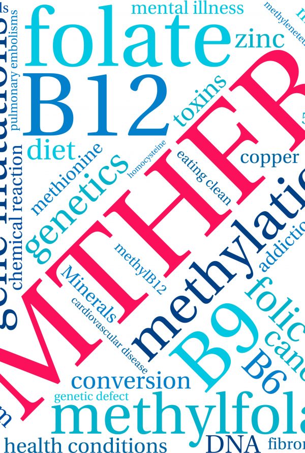 DNA/Genomic testing that includes MTHFR C677T and A1298C MTHFR variants