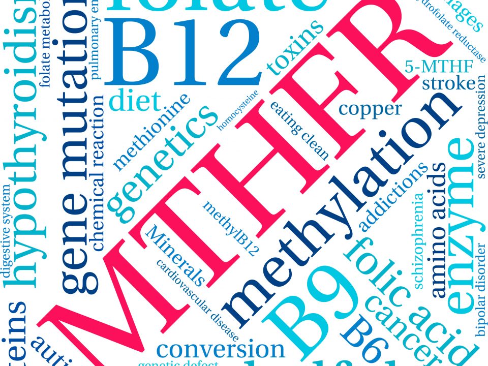 DNA/Genomic testing that includes MTHFR C677T and A1298C MTHFR variants